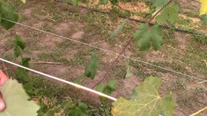 В гостях у Анатолия Васильевича Люмина