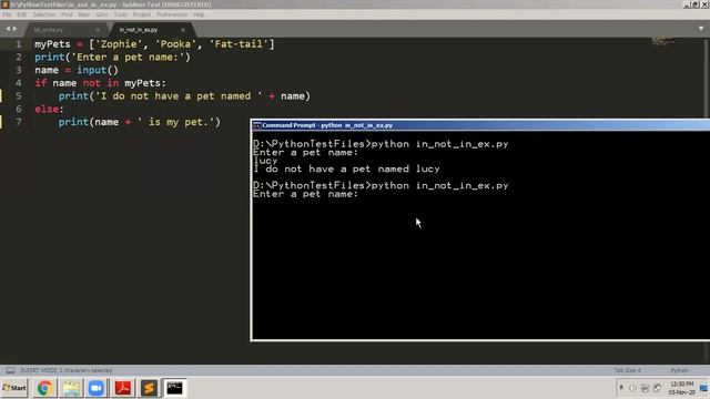 App Dev using Python - Class 16 - Lists with loops, List functions смотреть онлайн