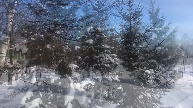 Кочуровский парк. Февраль - город Киров. смотреть онлайн