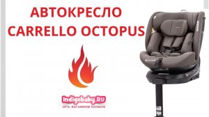 Автокресло Carrello Octopus K83, гр. 0/1/2/3 (0-36 кг)❤. Новинка. Налетай!