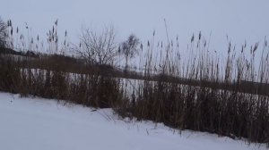 Эхолот Lucky Fish Finder  - обзор и испытания эхолота Фиш Файндер