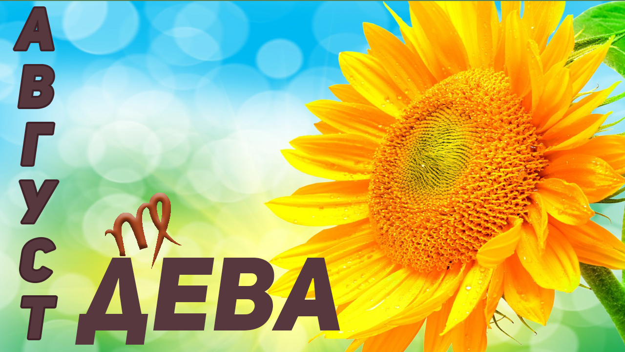 ? ДЕВА– ТАРО ПРОГНОЗ на АВГУСТ 2022 года ?