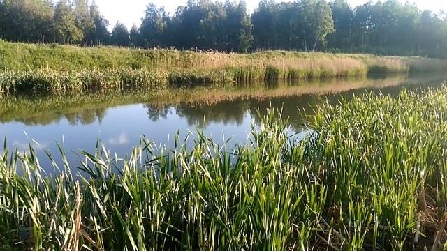 ХАСКИ УМКА НА РЫБАЛКЕ смотреть онлайн