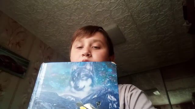 Смотрю на записи в дневнике (2,4,5) классы смотреть онлайн