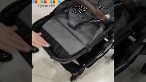 Коляска 3в1 Indigo CARRY