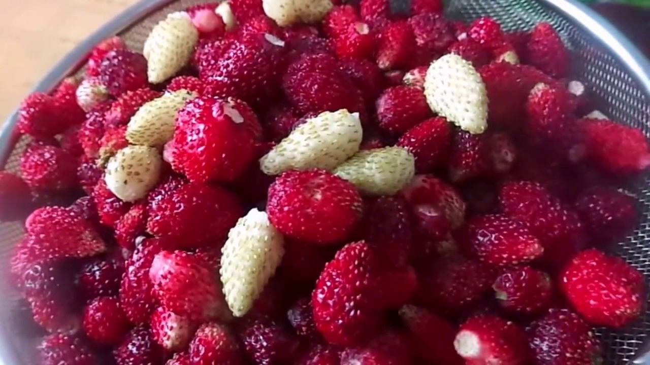 Компот на Зиму из Вишни, Крыжовника, Земляники и Малины.Простой и Быстрый Рецепт Заготовки. смотреть онлайн