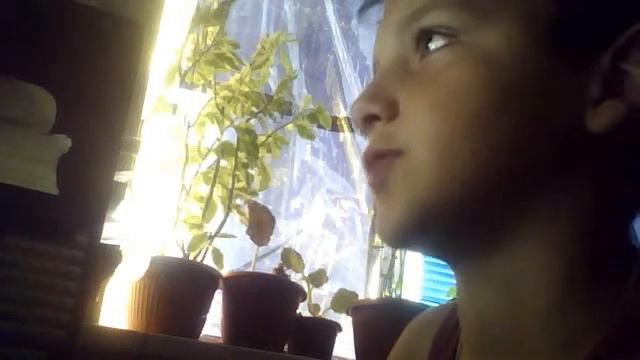Копия видео Видео с веб-камеры. Дата: 31 августа 2014 г., 19:31. смотреть онлайн