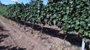 Велопутешествие по Европе #21 Австрия, закат на Дунае