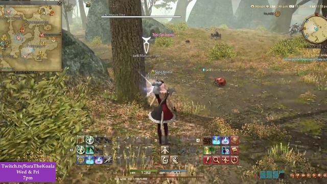 QQ - FFXIV - Botanist Lvl 5 - Sap For Smiles смотреть онлайн