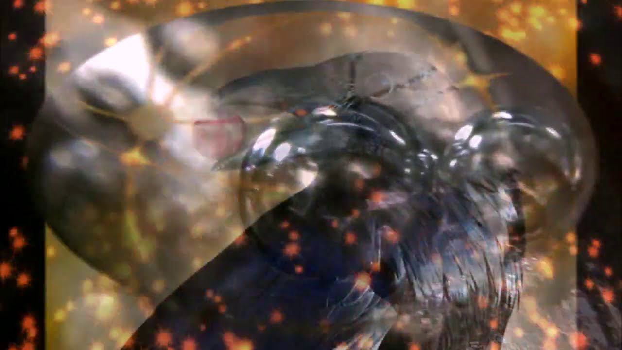 Адаптация Хугина. смотреть онлайн