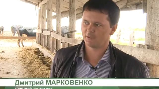 Учебник по Таланту и Творчеству