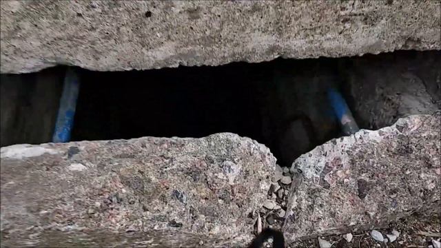 прогулки по Пальяссааре Ч 2  Ужи и забытая фортификация