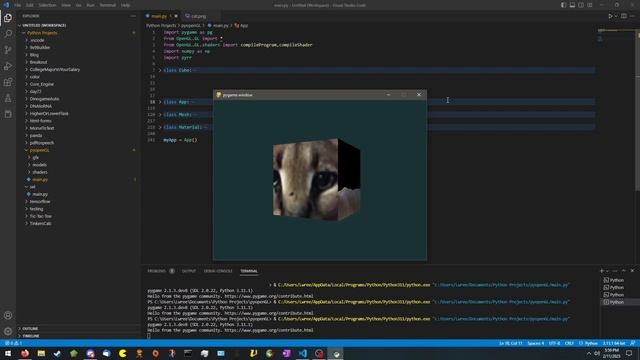 FloppaCube using OpenGL with PyOpenGL смотреть онлайн