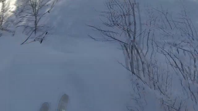 Красная Поляна. Спуск с Роза Хутор. 3.03.15 смотреть онлайн