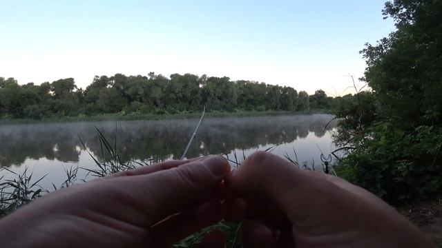 Попытки поймать Сазана на реке Сура. Часть 1 смотреть онлайн