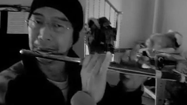 Playing C-Dizi - A Chinese traditional tune in C.mp4 смотреть онлайн