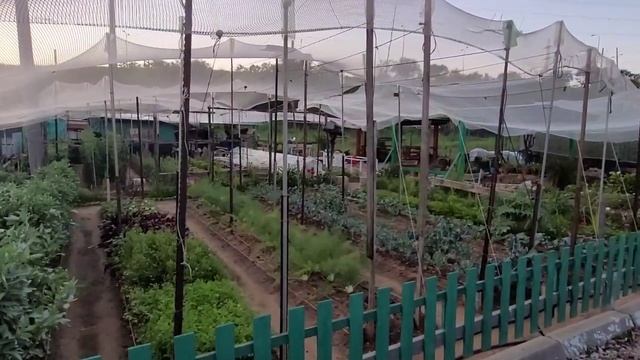 дача в Израиле смотреть онлайн