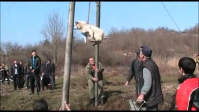 Закрутили собаку смотреть онлайн