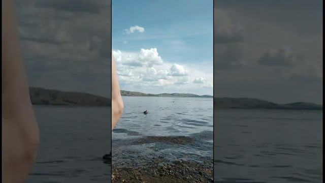 Юбилейный. Боюсь холодной воды) смотреть онлайн