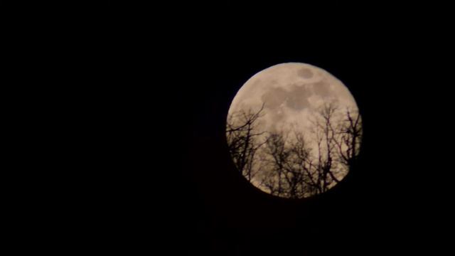 Восход Луны. смотреть онлайн