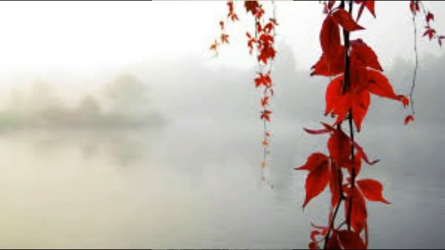 R Naam Ki Rashi Kya Hai | R Akshar Ki Rashi |R नाम वालों की राशि और कैसे होते है смотреть онлайн