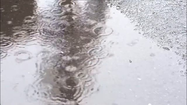 Будучи пенсионером: Льготы на проезд в общественном транспорте. смотреть онлайн