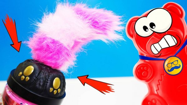 Кото гремлин и день рождения медведя Валеры