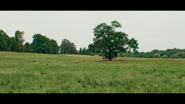 Я иду искать. Королевская игра - Смотреть онлайн смотреть онлайн