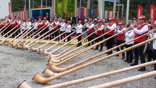 alphorn смотреть онлайн