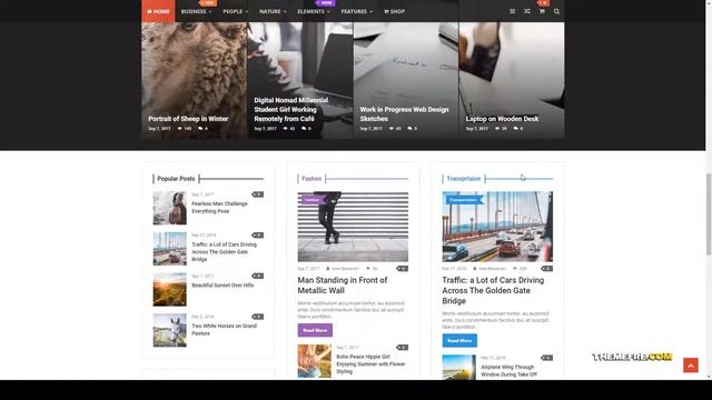 Bayan - Newspaper and Magazine WordPress Theme menu redux Website Builder смотреть онлайн