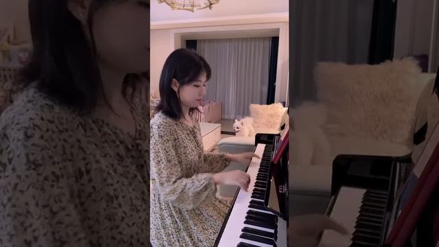 Made in China digital piano under 350 usd in 2022, CDP-808 смотреть онлайн