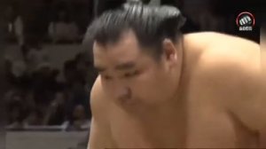 Сумо красивые броски