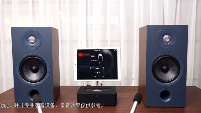 BLUESOUND POWENODE 2i HDMI & Focal Chora 806 Bookshelf Speaker Sound Test / Stereo Recording