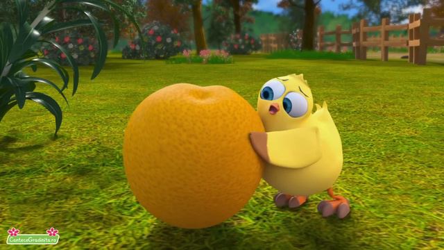Piu Piu 🐤 Cantec Pentru Copii - HeyKids