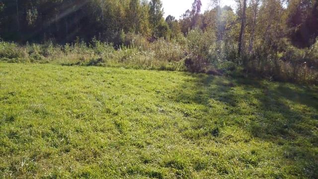 Прогулка по Новосибирску в 4K, Кольцово, Наукоград, электросамокат смотреть онлайн