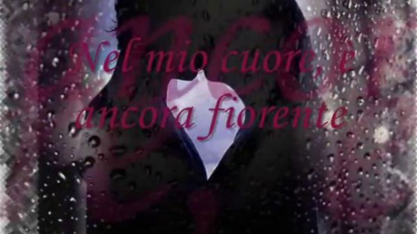 Fausto Papetti Petite Fleur