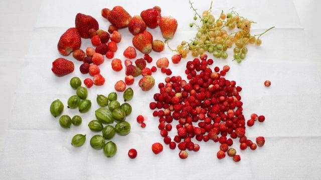 Сборник рецептов