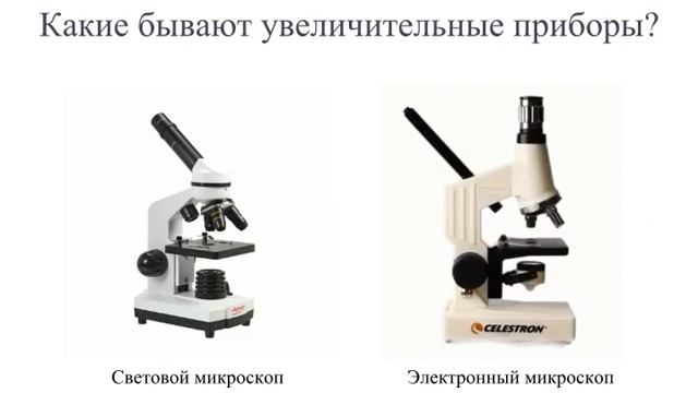 Электронный микроскоп смотреть онлайн