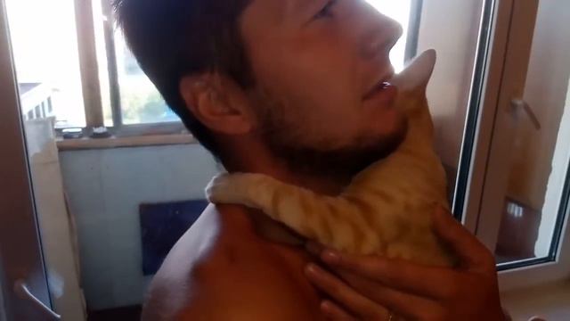 Кошка соскучилась по папе. смотреть онлайн
