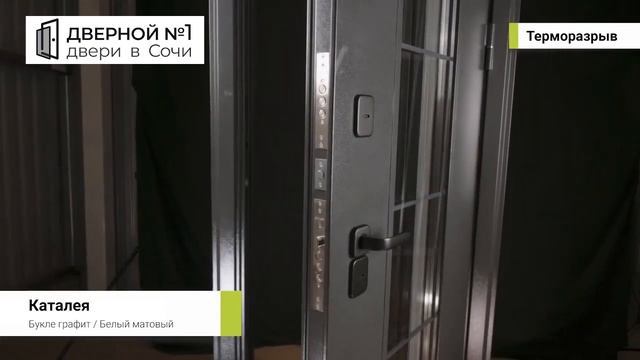 Металлическая входная дверь "Каталея" Букле графит / белый матовый смотреть онлайн