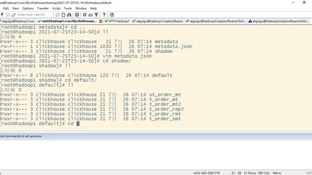 64 ClickHouse备份 使用clickhouse backup смотреть онлайн