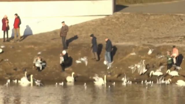 Беларусь гимн фотографа Витебск смотреть онлайн