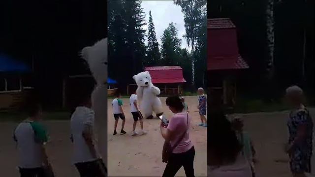 Поздравление мишки смотреть онлайн