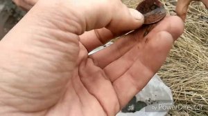 Обалденный коп в Орловской области.(Полная версия). Garrett AT PRO