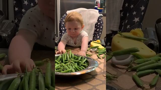 Смешное видео! Дети! Мальчик первый раз увидел Горох ! Очень смешное видео смотреть онлайн