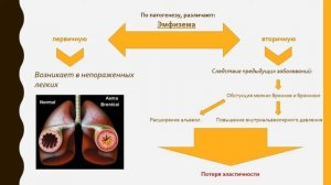 Эмфизема легких - этиология, патогенез, основные симптомы.