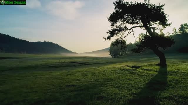 ? Прекрасная расслабляющая музыка • спокойная фортепианная и гитарная музыка ? смотреть онлайн