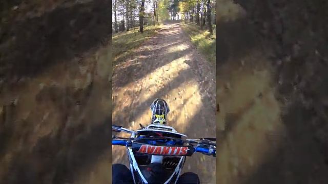 уникальная возможность поуправлять Avantis 250 Enduro ( авантис 250 эндуро) прямо с дивана
