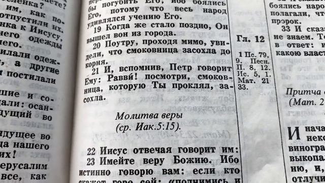 679 Воскресенье. Чтение библии смотреть онлайн