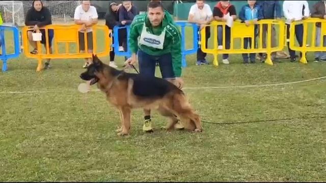 Италия октябрь 2023